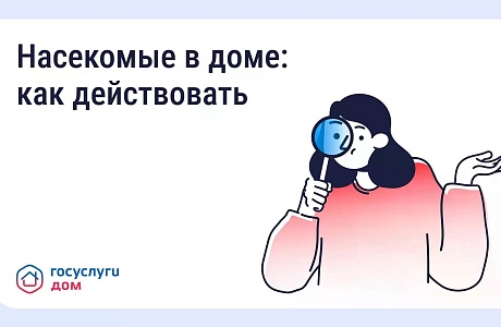 Борьба с насекомыми в многоквартирном доме